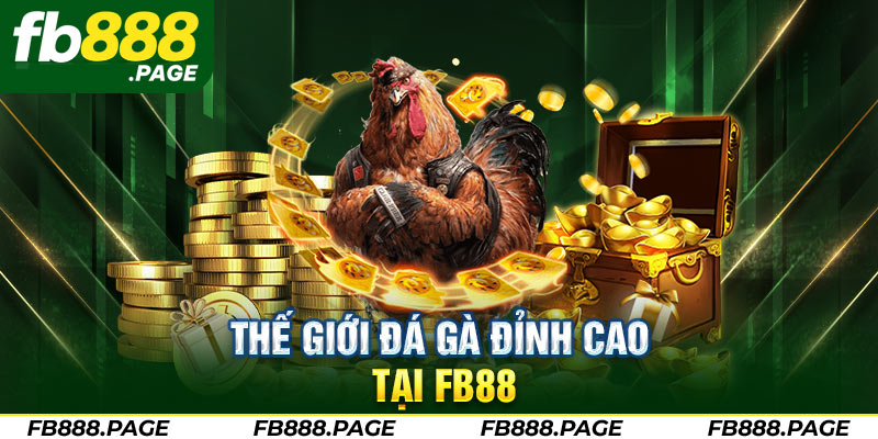 the gioi da ga dinh cao tai fb88